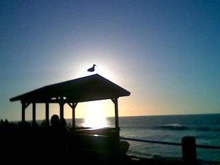 A 'belvedere' ocean-viewing platform on La Jolla shoreline La Jolla Belvedere