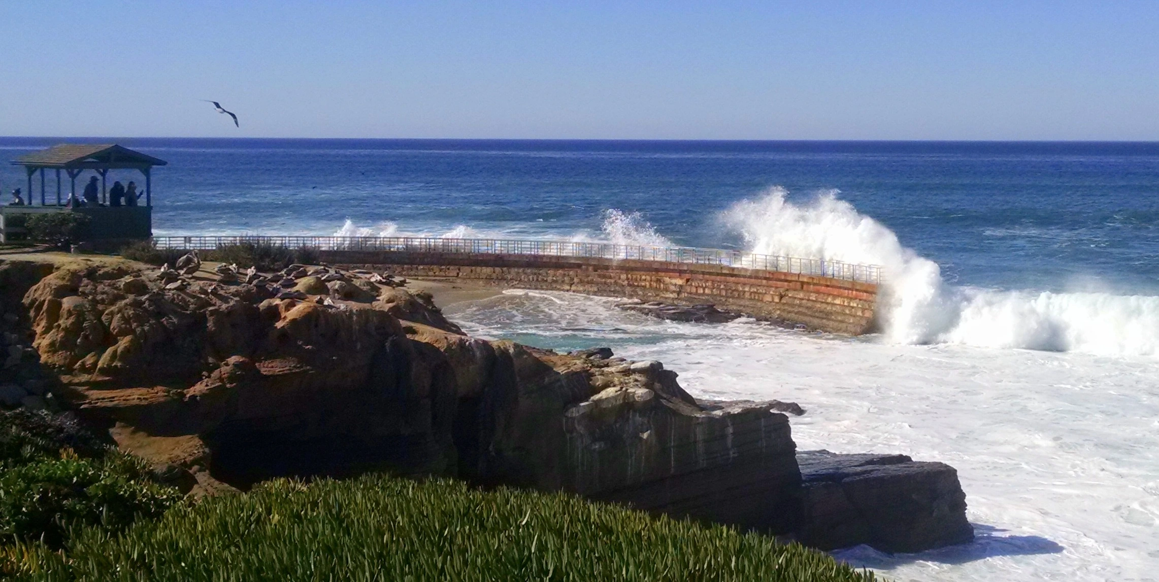 La Jolla's famed 'Childrens Pool' Children's Pool